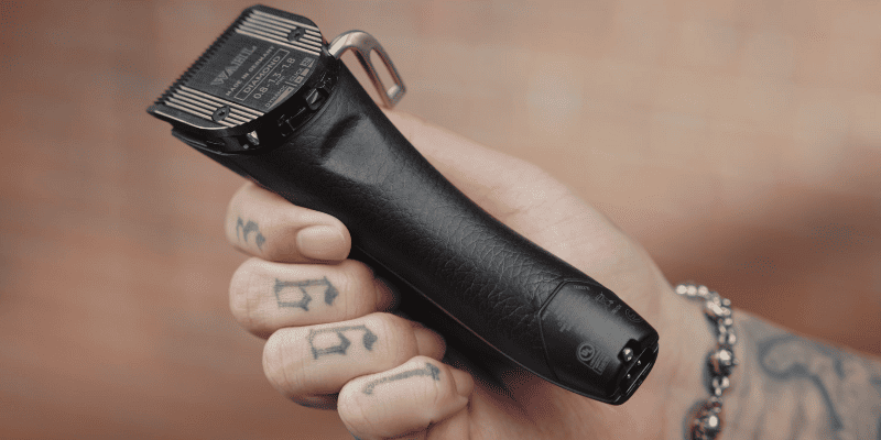 Which Detachable Blade Clippers Should I Get?